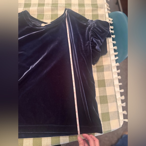 Madewell Velvet Ruffle Sleeve Top - Picture 10 of 13